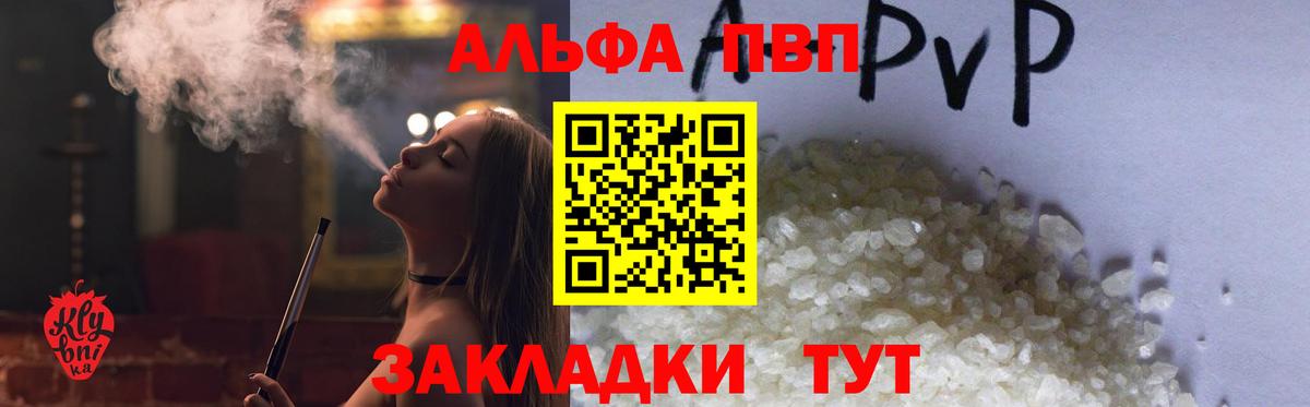 цена   Альфа ПВП  Вход с VPN  Alfa_PVP СК КРИС  Североморск 