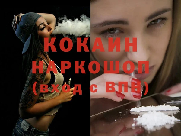 ешки Няндома