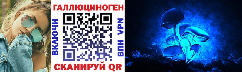 купить  цена  Североморск  KRAKEN сайт  Галлюциногенные грибы Psilocybe 