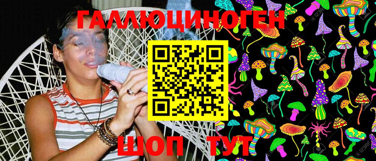 Североморск  Галлюциногенные грибы Psilocybine cubensis  Вход с VPN 