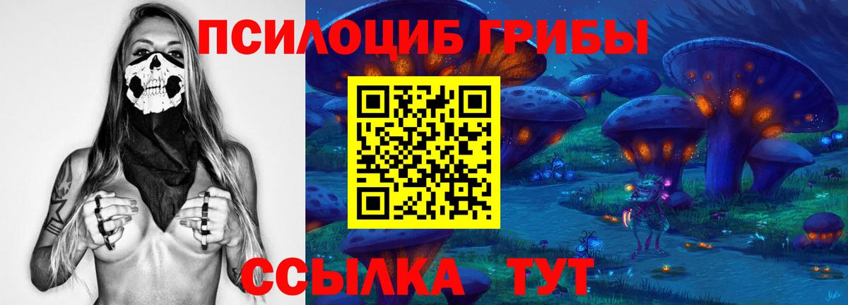Галлюциногенные грибы прущие грибы Североморск
