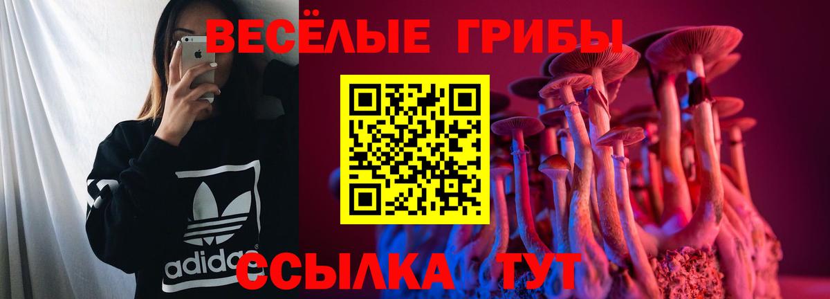 Галлюциногенные грибы GOLDEN TEACHER  Североморск 